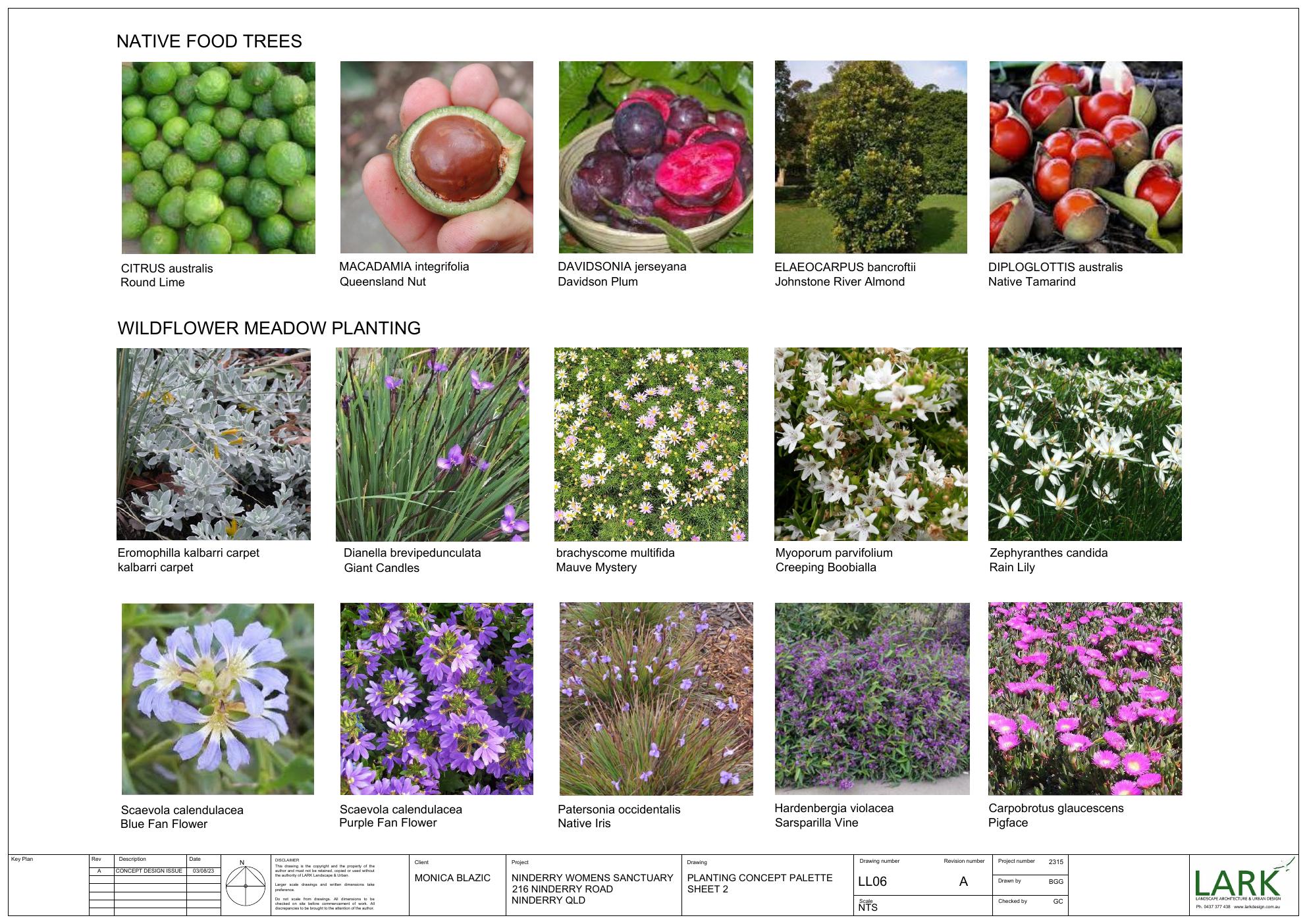 Ninderry Women's Sanctuary — native food tree and wildflower meadow planting palette.